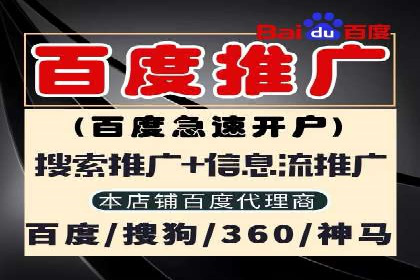 成功案例：百度推广代理助力电商突破